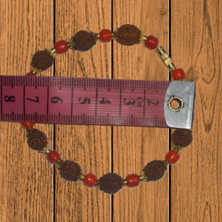 Red Coral With Rudraksh Bracelet (beads size 8.1mm) (Diameter: 7 Cm) by IndianJadiBooti  Red Coral With Rudraksh Bracelet (beads size 8.1mm) (Diameter: 7 Cm) by IndianJadiBooti
