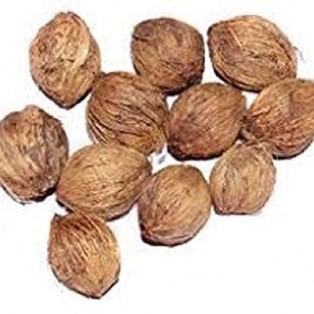 Laghu Nariyal - Sriphal - Mini Puja Nariyal - Laghu Srifal - Small Coconut (11 Pieces) (Size: 2 to 3 cm Approx Each) by IndianJadiBooti Laghu Nariyal - Sriphal - Mini Puja Nariyal - Laghu Srifal - Small Coconut (11 Pieces) (Size: 2 to 3 cm Approx Each) by IndianJadiBooti