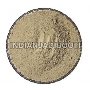 Angelica Roots (Powder) - Angelica Archangelica - Chora - Choru - Choraka - Gandrayan by IndianJadiBooti Angelica Roots (Powder) - Angelica Archangelica - Chora - Choru - Choraka - Gandrayan by IndianJadiBooti