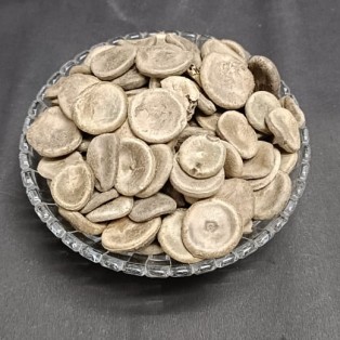 Kuchla (Beej) - Strychnos Nux Vomica (Seeds) - Poison Nut - Kupilu - Kupeelu - Kuchila by IndianJadiBooti Kuchla (Beej) - Strychnos Nux Vomica (Seeds) - Poison Nut - Kupilu - Kupeelu - Kuchila by IndianJadiBooti