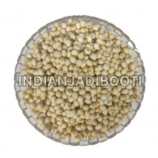 Gunja (Safed) (Seeds) - Chirmati (White) (Beej) -  Chirmi -  Chinnoti - White Ratti - Rosary Pea - Abrus Precatorius by IndianJadiBooti Gunja (Safed) (Seeds) - Chirmati (White) (Beej) -  Chirmi -  Chinnoti - White Ratti - Rosary Pea - Abrus Precatorius by IndianJadiBooti