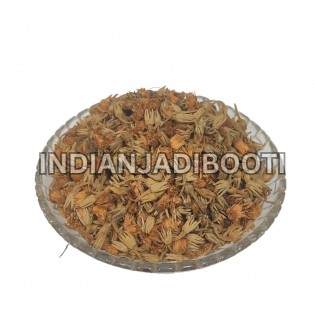 Molsari (Flower) - Maulsari (Phool) - Moulsiri - Mollsiri - Mimusops Elengi - Spanish Cherry - Bakul by IndianJadiBooti Molsari (Flower) - Maulsari (Phool) - Moulsiri - Mollsiri - Mimusops Elengi - Spanish Cherry - Bakul by IndianJadiBooti