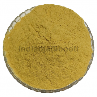 Kali Haldi (Jadd) (Powder) - Zedoary (Root) (Powder) - Narkachur - Nar Kachur- Nar Kachoor - Black Turmeric - Curcuma Zerumbet by IndianJadiBooti Kali Haldi (Jadd) (Powder) - Zedoary (Root) (Powder) - Narkachur - Nar Kachur- Nar Kachoor - Black Turmeric - Curcuma Zerumbet by IndianJadiBooti