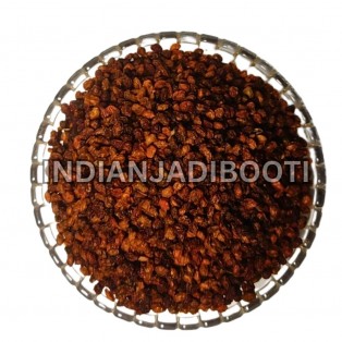 Sea Buckthorn (Berries) - Hippophae Rhamnoides - Nourishes Skin - Rich in Fatty Acids by IndianJadiBooti Sea Buckthorn (Berries) - Hippophae Rhamnoides - Nourishes Skin - Rich in Fatty Acids by IndianJadiBooti