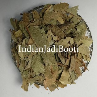 Guava Leaves (Dried) - Amrood Patti - Psidium Guajava - Amrud Patta  by IndianJadiBooti