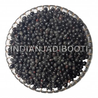 Gunja (Kala) (Seeds) - Chirmati (Black) (Beej) - Kali Ratti - Rosary Pea - Chirmi - Black Gunja - Chinnoti - Abrus Precatorius by IndianJadiBooti Gunja (Kala) (Seeds) - Chirmati (Black) (Beej) - Kali Ratti - Rosary Pea - Chirmi - Black Gunja - Chinnoti - Abrus Precatorius by IndianJadiBooti