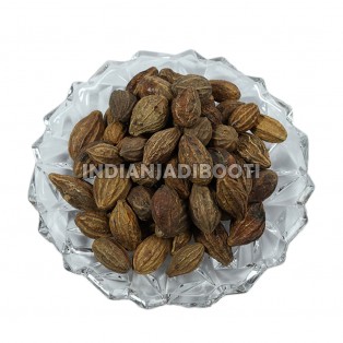 Harad (Big Yellow) - Harad Badi Pili - Haritaki - Halela Zard - Terminalia Chebula by IndianJadiBooti Harad (Big Yellow) - Harad Badi Pili - Haritaki - Halela Zard - Terminalia Chebula by IndianJadiBooti
