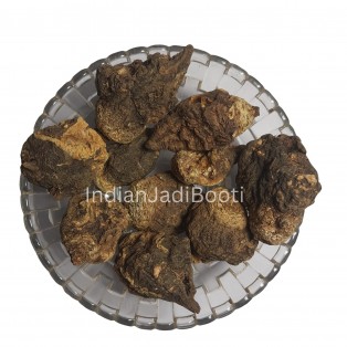 Peruvian (Black) Maca (Roots) (Peru - South America Origin) - Peruvian Ginseng - Lepidium Peruvianum - Lepidium Meyenii by IndianJadiBooti Peruvian (Black) Maca (Roots) (Peru - South America Origin) - Peruvian Ginseng - Lepidium Peruvianum - Lepidium Meyenii by IndianJadiBooti