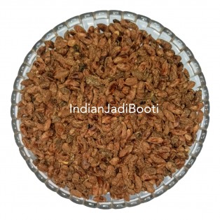 Neem (Seeds) (Without Shell) - Neem Magaj - Neem Beej - Neem Phal - Neem Fruit - Neem Giri - Niboli - Nimboli - Azadirachta Indica - Nimbaka by IndianJadiBooti Neem (Seeds) (Without Shell) - Neem Magaj - Neem Beej - Neem Phal - Neem Fruit - Neem Giri - Niboli - Nimboli - Azadirachta Indica - Nimbaka by IndianJadiBooti
