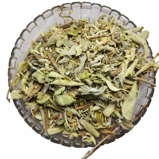 Sage (Leaves) (Will have some part of stalk and stem) - Salvia Officinalis by IndianJadiBooti