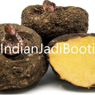 Suran - Elephant Foot Yam - Jimikand - Oal  - Wild Yam Root - Zamikand - Kanda by IndianJadiBooti