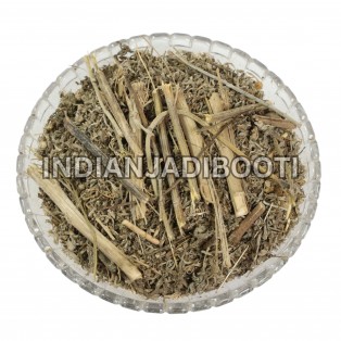 Afsanteen (Panchang) - Damanaka - Nagdon - Mugwort - Wormwood - Artemisia Absinthium - Green Ginger - Madderwort - Artemisia Vulgaris by IndianJadiBooti Afsanteen (Panchang) - Damanaka - Nagdon - Mugwort - Wormwood - Artemisia Absinthium - Green Ginger - Madderwort - Artemisia Vulgaris by IndianJadiBooti
