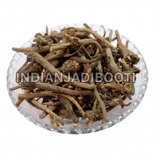 Akarkara (Roots) - Anacyclus Pyrethrum - Pellitory Roots - Pellety Roots by IndianJadiBooti Akarkara (Roots) - Anacyclus Pyrethrum - Pellitory Roots - Pellety Roots by IndianJadiBooti
