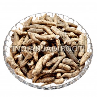 Atish (Kadwi) (Jadd) - Ativisha (Bitter) (Roots) - Prativisha -  Atiwisha - Ateesh - Aconitum Heterophyllum by IndianJadiBooti Atish (Kadwi) (Jadd) - Ativisha (Bitter) (Roots) - Prativisha -  Atiwisha - Ateesh - Aconitum Heterophyllum by IndianJadiBooti