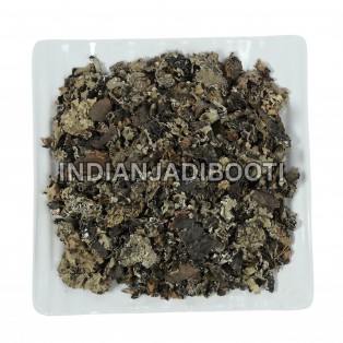 Chadila (Phool) - Kalpasi - Charila - Chareela - Stone (Flower) Spice - Patthar Phool - Dagad Phool - Shaileya- Shaileyam - Shila Pushpa - Rock Moss - Parmelia Perlata by IndianJadiBooti Chadila (Phool) - Kalpasi - Charila - Chareela - Stone (Flower) Spice - Patthar Phool - Dagad Phool - Shaileya- Shaileyam - Shila Pushpa - Rock Moss - Parmelia Perlata by IndianJadiBooti