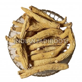 Ginseng (Root) (American Origin) - Jinsing - Ginsing - Jinseng - Panax Quinquefolius by IndianJadiBooti Ginseng (Root) (American Origin) - Jinsing - Ginsing - Jinseng - Panax Quinquefolius by IndianJadiBooti