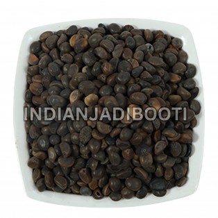Kala Dana Chota - Black Seeds - Kala Beej - Morning Glory Seeds -Tukham e Neel - Ipomoea Nil by IndianJadiBooti Kala Dana Chota - Black Seeds - Kala Beej - Morning Glory Seeds -Tukham e Neel - Ipomoea Nil by IndianJadiBooti