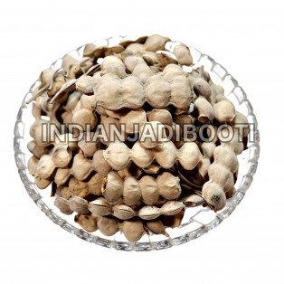 Kaunch Seeds (White)  (Unpurified) - Kauch Beej Safed - Konch - Mucuna Pruriens White - Alkushi by IndianJadiBooti Kaunch Seeds (White)  (Unpurified) - Kauch Beej Safed - Konch - Mucuna Pruriens White - Alkushi by IndianJadiBooti