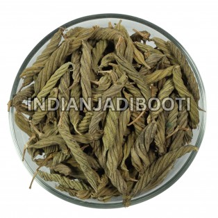 Marod Phali - Maror Fali - Murud Sheng - Marori - Indian Screw - Murad Sheng - Helicteres Isora - Avartani - Enthani - Avaitini Screw Beans  by IndianJadiBooti