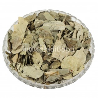 Moringa (Leaves) Cultivated - Moringa Leaf - Sehjan Patta - Drumstick Leaves - Saragavo - Moringa Oleifera by IndianJadiBooti