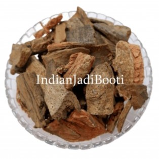 Pipal (Chaal) - Peepal Bark - Pipal Chhal - Ficus Religiosa by IndianJadiBooti