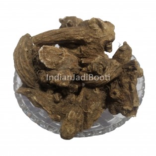 Pushkarmool - Pushkar Mool - Orris Root - Inula Racemosa - Indian Elecampane by IndianJadiBooti Pushkarmool - Pushkar Mool - Orris Root - Inula Racemosa - Indian Elecampane by IndianJadiBooti