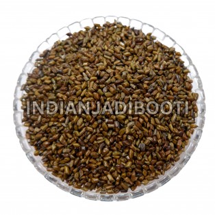 Beej Puwar - Chakramarda Seeds - Chakramard Beej - Pawar Seeds - Panwar Seeds - Cassia Tora Seeds by IndianJadiBooti Beej Puwar - Chakramarda Seeds - Chakramard Beej - Pawar Seeds - Panwar Seeds - Cassia Tora Seeds by IndianJadiBooti