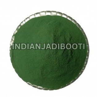 Spirulina (Powder) -  Arthrospira Platensis by IndianJadiBooti Spirulina (Powder) -  Arthrospira Platensis by IndianJadiBooti