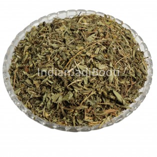 Stevia (Leaf) - Madhu Tulsi - Vimla Tulsi - Sweet Basil - Mithi Tulsi - Stivia Leaves - Stevia Rebaudiana by IndianJadiBooti Stevia (Leaf) - Madhu Tulsi - Vimla Tulsi - Sweet Basil - Mithi Tulsi - Stivia Leaves - Stevia Rebaudiana by IndianJadiBooti