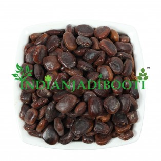 Imli Beej (Chota) - Emli Seed Small - Tamarind Seeds Small - Tamarindus Indica by IndianJadiBooti Imli Beej (Chota) - Emli Seed Small - Tamarind Seeds Small - Tamarindus Indica by IndianJadiBooti