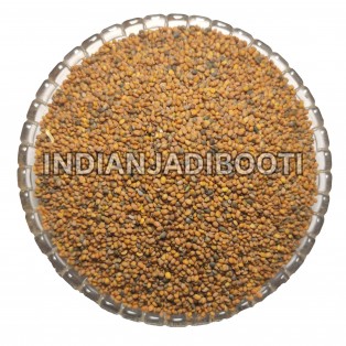 Taramira (Beej) - Arugula Seeds - Safed Sarson - White Sarso - White Mustard - Tarmira Seeds - Brassica Eruca - Eruca Sativa - Rocket Seeds  by IndianJadiBooti Taramira (Beej) - Arugula Seeds - Safed Sarson - White Sarso - White Mustard - Tarmira Seeds - Brassica Eruca - Eruca Sativa - Rocket Seeds  by IndianJadiBooti