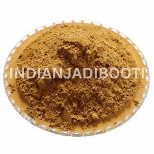 Revan Chini (Roots Powder) - Rhubarb Roots Powder - Rewand Khatai - Himalayan Rhubarb - Rheum Emodi by IndianJadiBooti Revan Chini (Roots Powder) - Rhubarb Roots Powder - Rewand Khatai - Himalayan Rhubarb - Rheum Emodi by IndianJadiBooti
