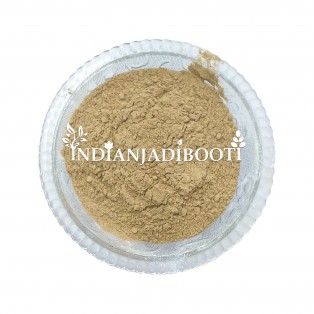 Long Pepper Powder - Pipli Churan - Pipal Badi Churn - Filfil Daraz -  Mag Peepal - Pippali - Chavya - Chavak - Thippli - Peepri - Pipili - Piper Longum - Piper Retrofractum by IndianJadiBooti