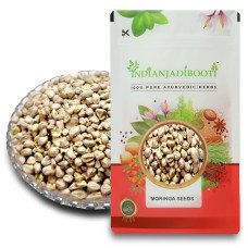 Moringa Drumstick Seeds - Sehjan Sohjana Beej - Saragavo - Moringa Oleifera by IndianJadiBooti
