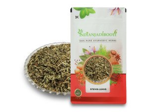 Benefits of Stevia Leaf - Madhu Tulsi - Mithi Tulsi - Stivia Leaves - Stevia rebaudiana