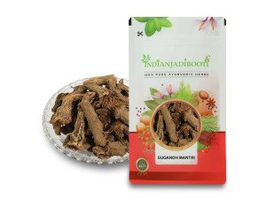 Benefits of Sugandh Mantri - Gandhi Roots - Homalomena aromatica