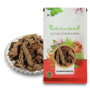 Sugandh Mantri - Gandhi Roots - Homalomena aromatica by IndianJadiBooti