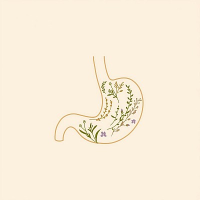 Constipation and Digestion