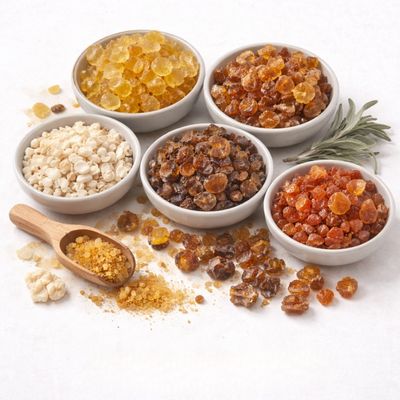 Gums and Resins
