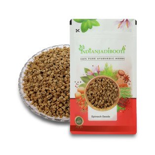 Spinach Vegetable Seeds (Edible) - Beej Palak - Spinacia Oleracea by IndianJadiBooti