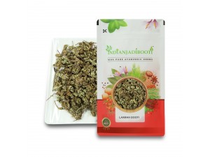 Benefits of Laxmana Booti - Sanjeevni - Sanjivni Booti - Lakshmana Buti - Sanjeevani Buti - Sanjivani