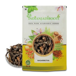 Nagarmotha Root - Nut Sedge Root -  Musta Mool -  Cyperus Rotundus - Nut Grass - Mustha - Shacao Roots by IndianJadiBooti