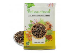Benefits of Neem Seed - Neem Beej - Neem Giri - Niboli - Nimboli - Azadirachta indica