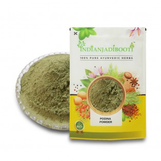 Podina (Powder) - Pudina Powder- Mentha Sativa - Mint Leaves Powder by IndianJadiBooti