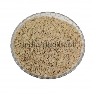 Utangan (Beej) Premium- Blepharis Edulis Pers (Seeds) - Tukhme Anjara - Dakhni Chappar - Sushni - Anjar - Bazrul Qareez by IndianJadiBooti Utangan (Beej) Premium- Blepharis Edulis Pers (Seeds) - Tukhme Anjara - Dakhni Chappar - Sushni - Anjar - Bazrul Qareez by IndianJadiBooti