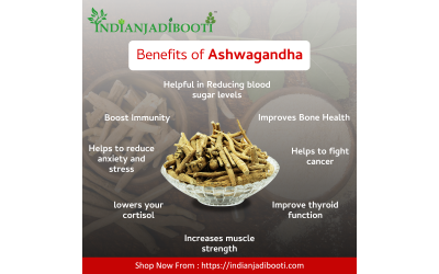Ashwagandha Benefits