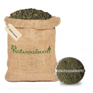 Stinging Nettle (Leaves) - Tragia Involucrata - Duhsparsha - Vrischikali - Vrischikapatri - Bichhua Patti - Bichu Buti - Bichoo Buti - Bichhu Buti - Urtica Dioica - Nettle Tea by IndianJadiBooti Stinging Nettle (Leaves) - Tragia Involucrata - Duhsparsha - Vrischikali - Vrischikapatri - Bichhua Patti - Bichu Buti - Bichoo Buti - Bichhu Buti - Urtica Dioica - Nettle Tea by IndianJadiBooti