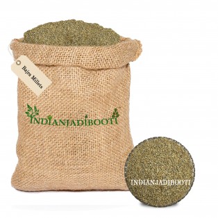 Bajra - Pearl Millets - Bajri - Sajjalu - Sajje - Kambu - Pindi - Kambam by IndianJadiBooti Bajra - Pearl Millets - Bajri - Sajjalu - Sajje - Kambu - Pindi - Kambam by IndianJadiBooti