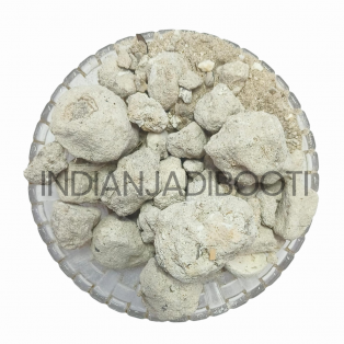 Banslochan (Asli) - Tabasheer (Original) - Bambusa Vulgaris - Bamboo Camphor - Bamboo Manna - Bambusa  Arundinacea Wild by IndianJadiBooti Banslochan (Asli) - Tabasheer (Original) - Bambusa Vulgaris - Bamboo Camphor - Bamboo Manna - Bambusa  Arundinacea Wild by IndianJadiBooti