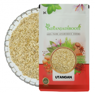 Utangan (Beej) - Blepharis Edulis Pers (Seeds) - Tukhme Anjara - Dakhni Chappar - Sushni - Anjar - Bazrul Qareez by IndianJadiBooti